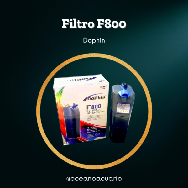 Filtro Interno F800 - Dophin