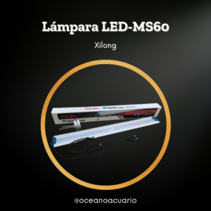 Lámpara LED-MS60 - Xilong