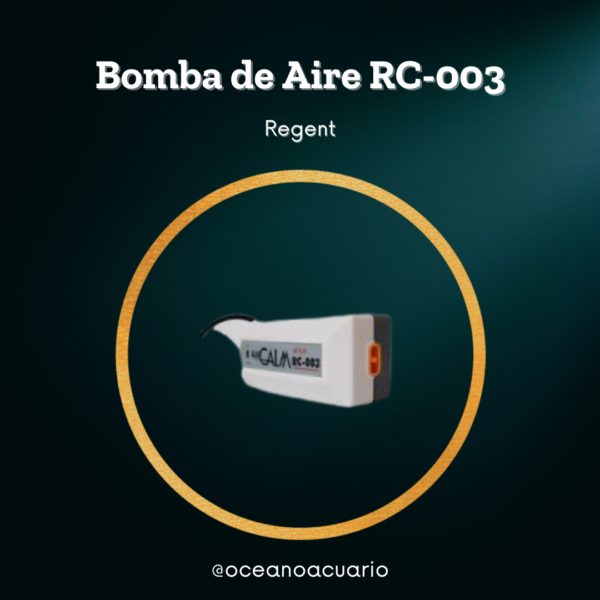 Bomba de Aire RC-003 - Regent