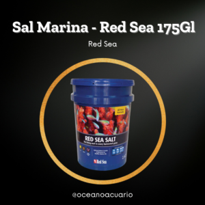 Sal Marina - Red Sea - 175Gl