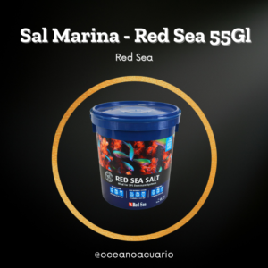 Sal Marina - Red Sea - 55Gl