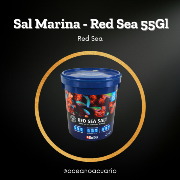 Sal Marina - Red Sea - 55Gl