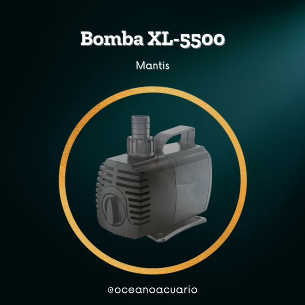 Bomba Sumergible XL-5500 - Xilong