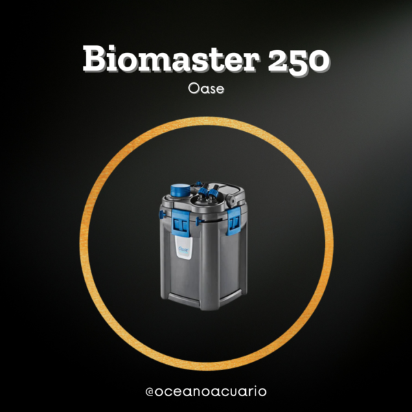 Biomaster 250 - Oase