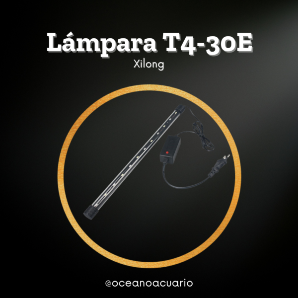 Lámpara T4-30E - Xilong