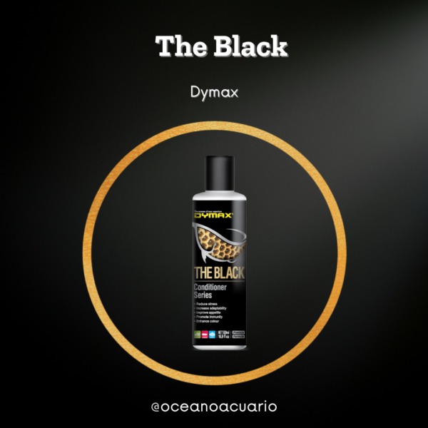 The Black - 500ml