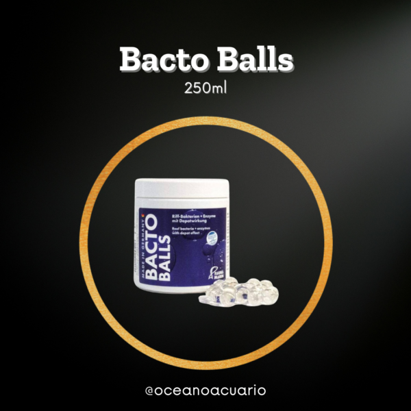 Bacto Balls - 250ml