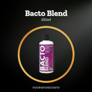 Bacto Blend - 500ml