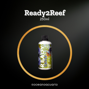 Ready2Reef - 250ml